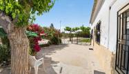Venta - Finca - Orihuela - Desamparados-hurchillo-torremendo