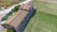 Venta - Finca - Orihuela - Desamparados-hurchillo-torremendo