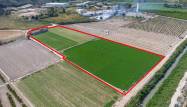 Venta - Finca - Orihuela - Desamparados-hurchillo-torremendo