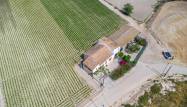Venta - Finca - Orihuela - Desamparados-hurchillo-torremendo