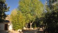 Venta - Finca - Torremanzanas - Costa Blanca