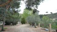 Venta - Finca - Torremanzanas - Costa Blanca