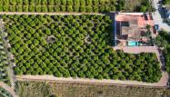 Venta - Finca - Vistabella Golf Entre Naranjos - Inland