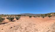Venta - Land - Monóvar/Monóver - Inland