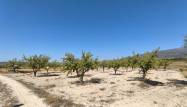 Venta - Land - Monóvar/Monóver - Inland