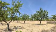 Venta - Land - Monóvar/Monóver - Inland