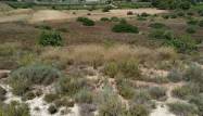 Venta - Land - Pinar de Campoverde - Inland