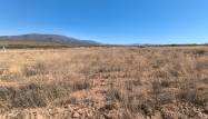 Venta - Land - Pinoso - Inland