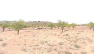 Venta - Land - Pinoso - Inland