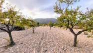 Venta - Land - Pinoso - Inland