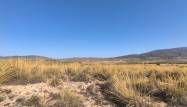 Venta - Land - Pinoso - Inland