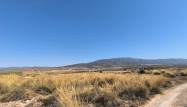 Venta - Land - Pinoso - Inland