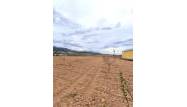 Venta - Land - Pinoso - Inland