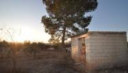 Venta - Land - Pinoso - Inland