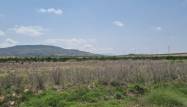 Venta - Land - Pinoso - Inland