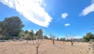 Venta - Land - Pinoso - Inland