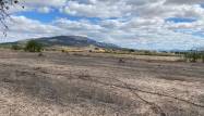 Venta - Land - Pinoso - Inland