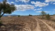 Venta - Land - Pinoso - Inland