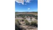 Venta - Land - Pinoso - Inland