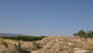 Venta - Land - Pinoso - Inland