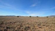 Venta - Land - Pinoso - Inland