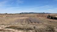 Venta - Land - Pinoso - Inland