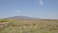 Venta - Land - Pinoso - Inland