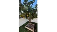 Venta - Town House - Torrevieja - Aguas Nuevas