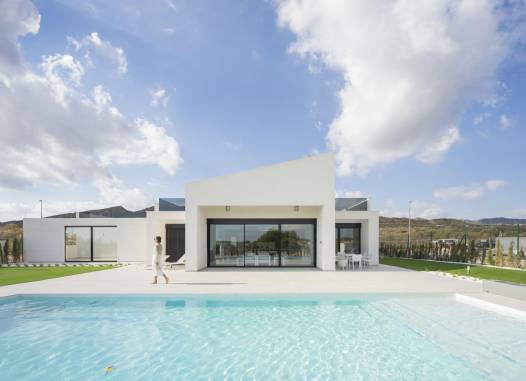 Villa - New Build - BAOS Y MENDIGO - N8311