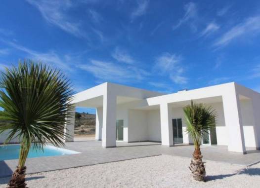 Villa - New Build - Pinoso - N3847