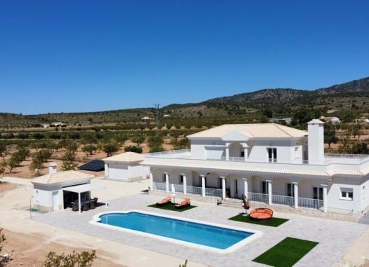 Villa - New Build - Pinoso - N7760
