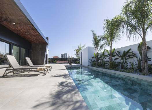 Villa - New Build - Rojales - N6528