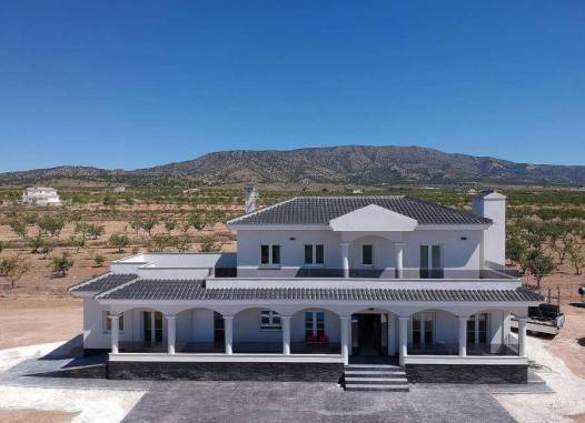 Villa - Nieuwbouw  - Pinoso - Camino Del Prado