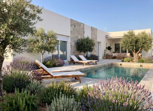 Villa - Nouvelle construction - Pinoso - Casas Pastor