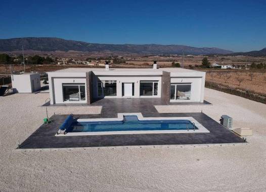 Villa - Nouvelle construction - Pinoso - N7761