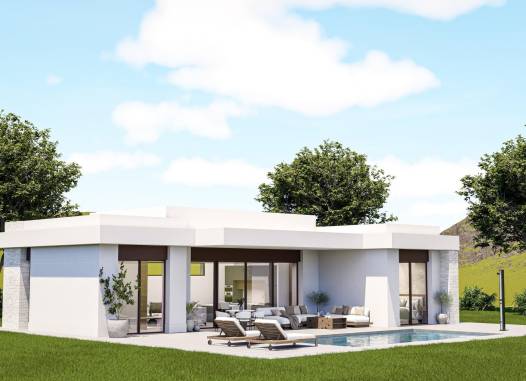 Villa - Nouvelle construction - Pinoso - N9694