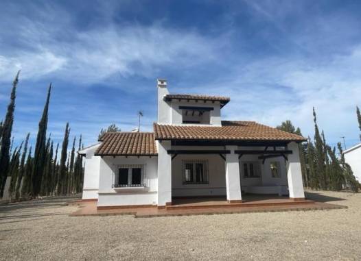 Вилла - Новая сборка - Fuente Alamo de Murcia - N6958