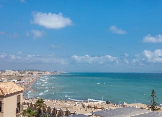 Villa - Nowy budynek - Torrevieja - La Mata
