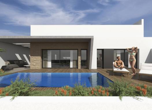 Villa - Nowy budynek - Torrevieja - Sector 25