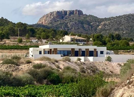 Villa - Revente - Pinoso - Inland